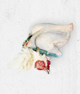 Bresse-Gauloise Huhn Poularde