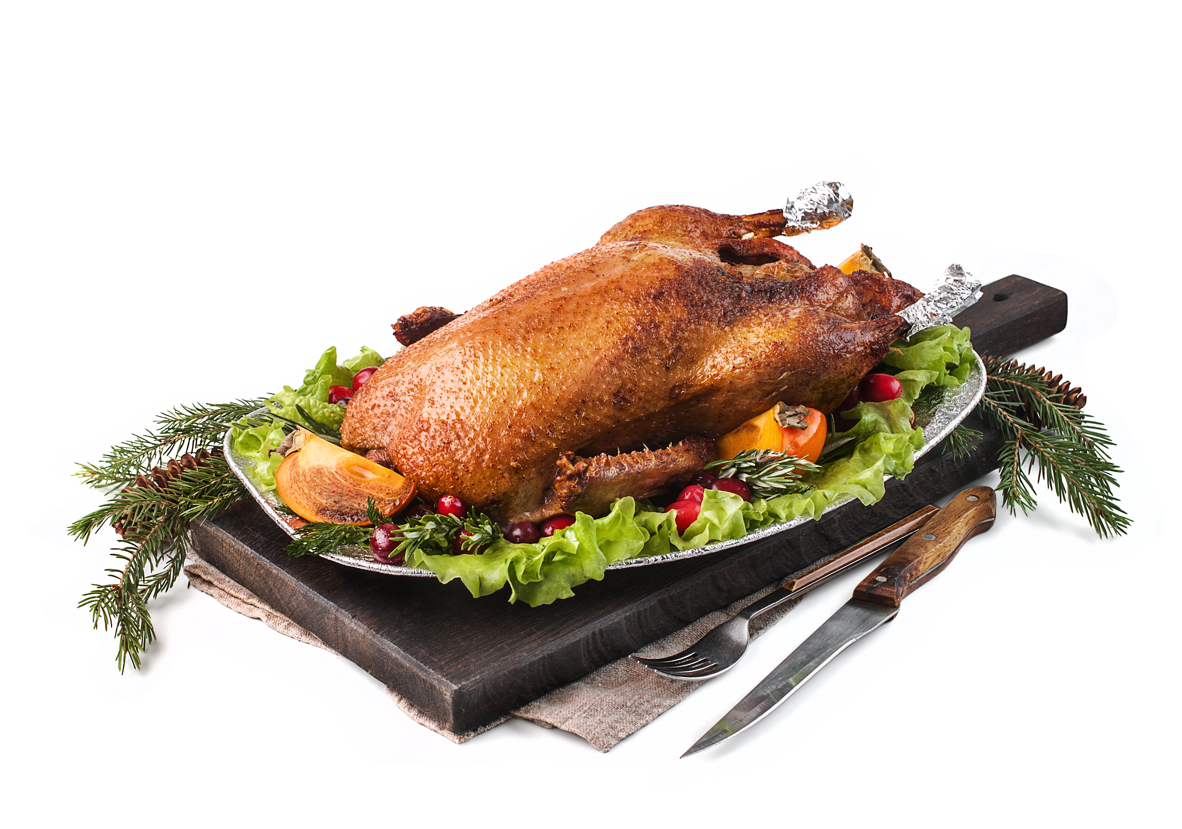 Sächsische Pekingente